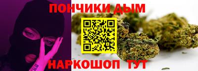 индика Нальчик