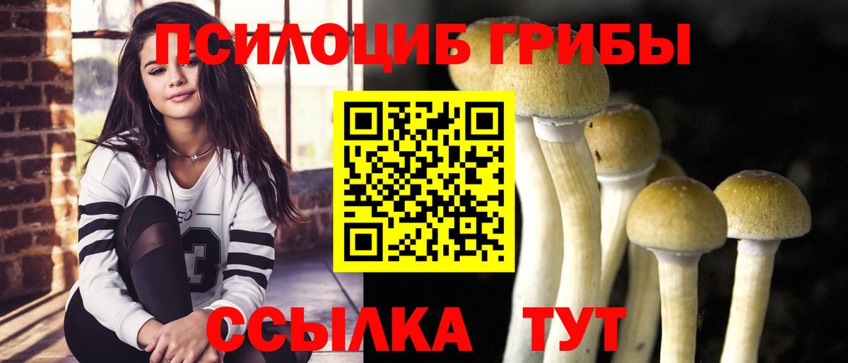 Уссурийск  Псилоцибиновые грибы ЛСД  Вход с VPN  где купить наркотик  Псилоцибиновые грибы MAGIC MUSHROOMS 