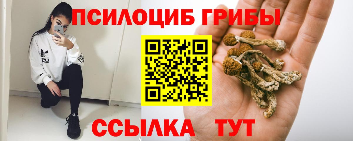 Галлюциногенные грибы мухоморы Уссурийск
